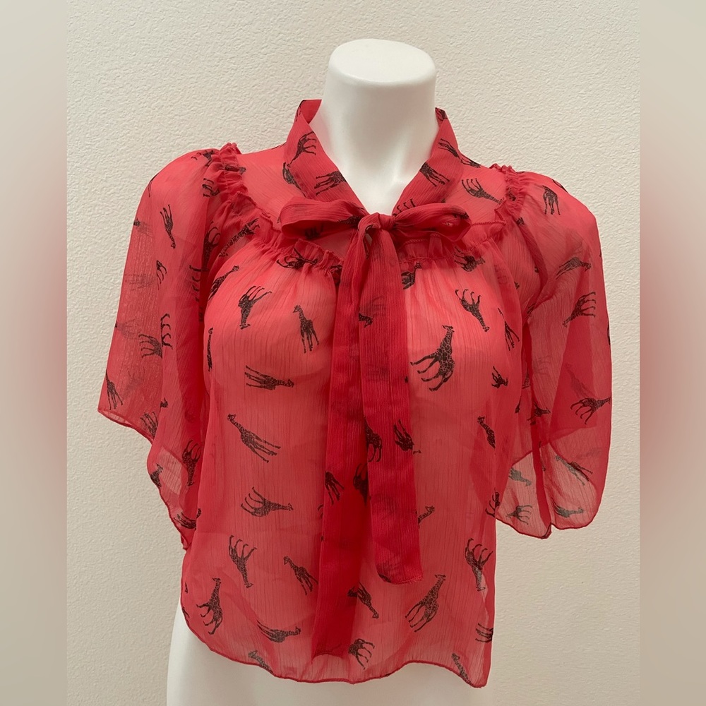 Women’s dressy top
